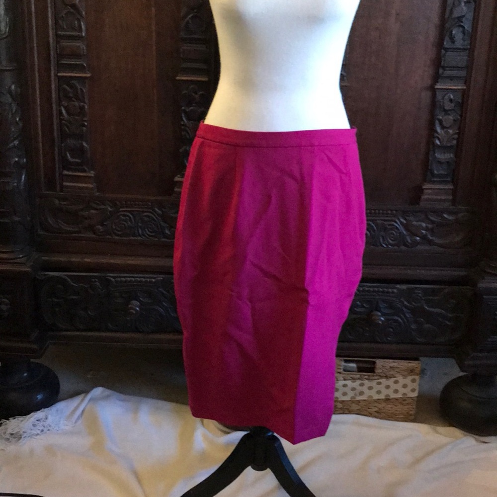 Beautiful NWT dark pink skirt